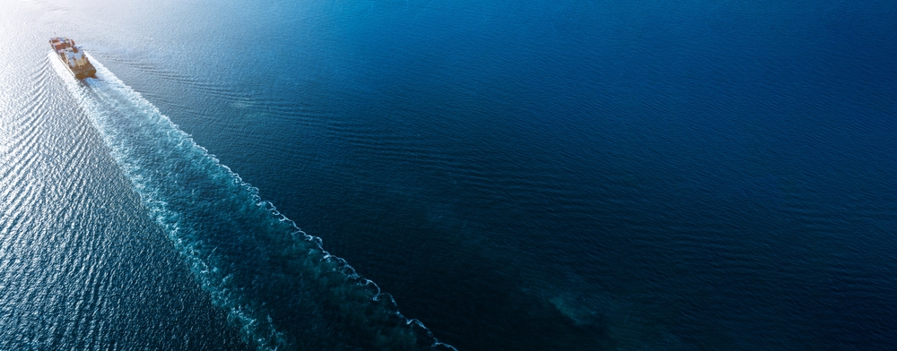 Marine survey